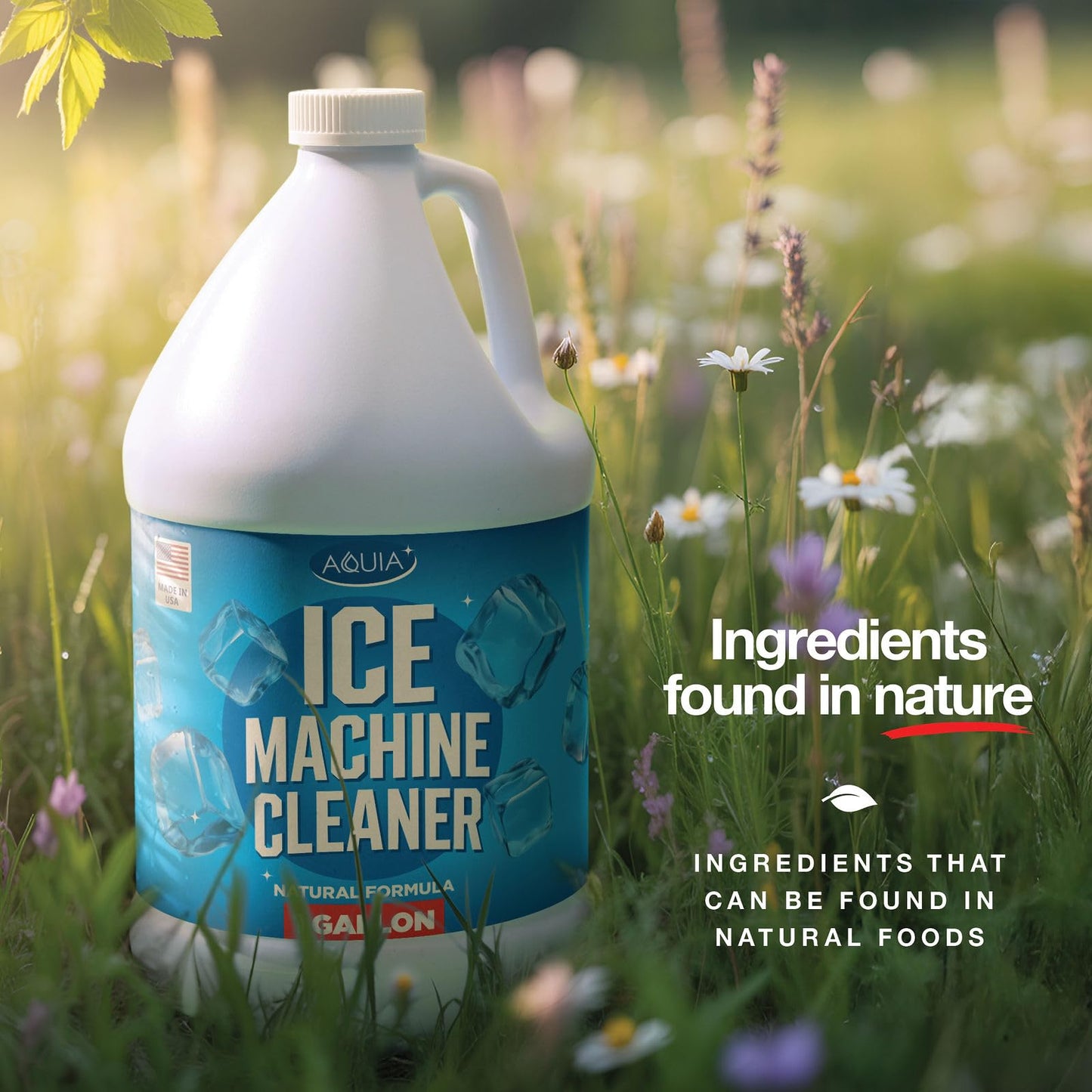 Ice Machine Cleaner and Descaler Gallon