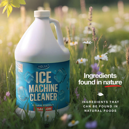 Ice Machine Cleaner and Descaler Gallon